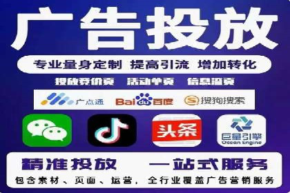 行业领先的SEM投放效果案例解析
